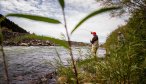 Montana Angler Fly Fishing Trips on the Madison River
