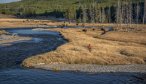 Montana Angler guided fly fishing trips in October