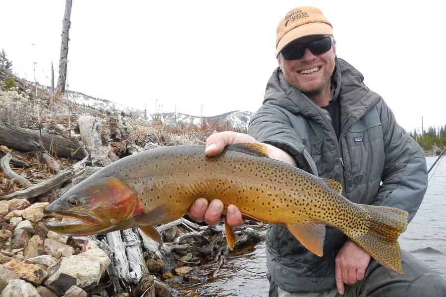 Yellowstone Backcountry Fly Fishing Trips