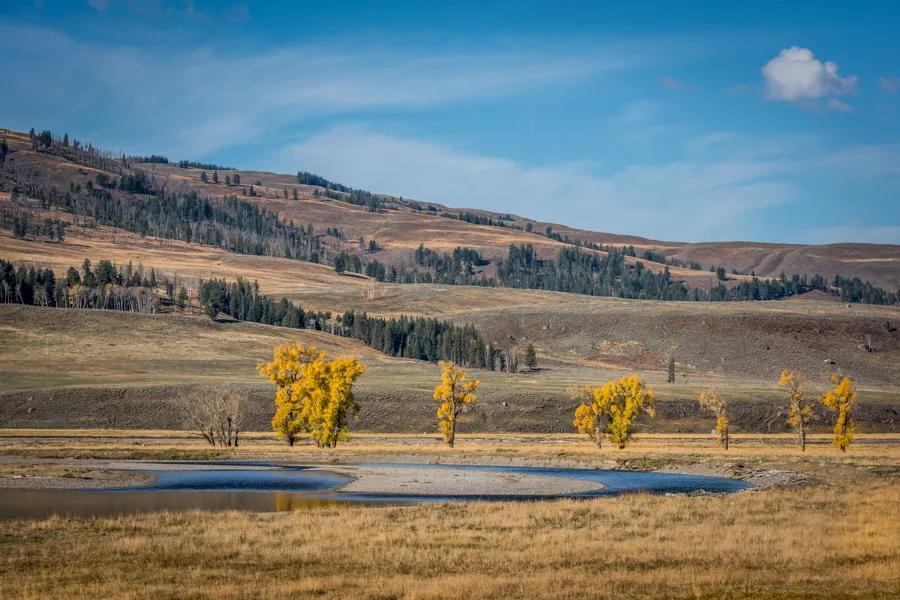 Lamar river outlet trail yellowstone