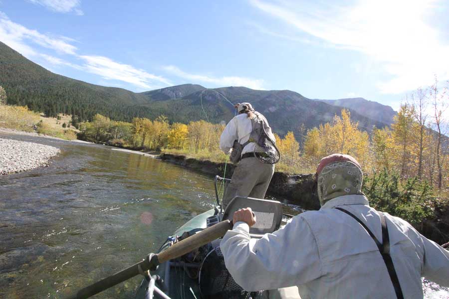Yellowstone River Hatch Chart Montana Fly Fishing