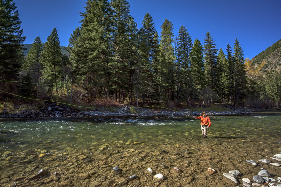 Fishing the Gallatin