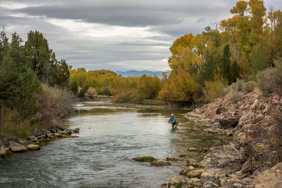 Bitterroot River MT in October - What's this fish called