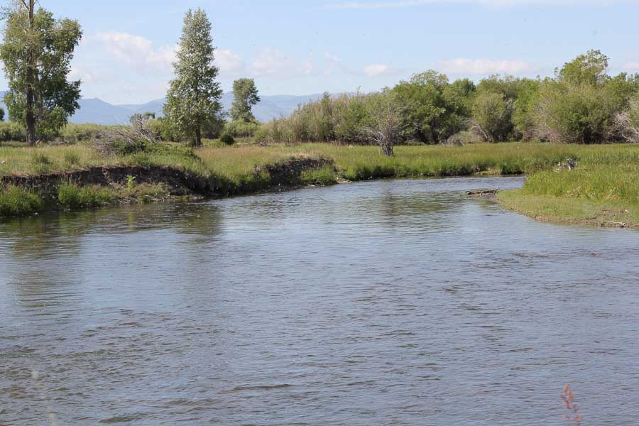 Beaverhead River 