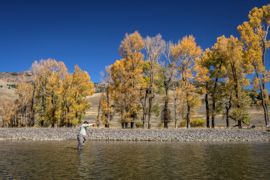 Lamar River | Glacier to Yellowstone